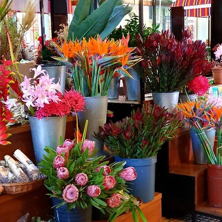 Agnelo Comfort - H V בית הארחה 3*