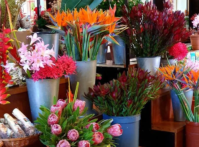 Agnelo Comfort - H V ゲストハウス 3*